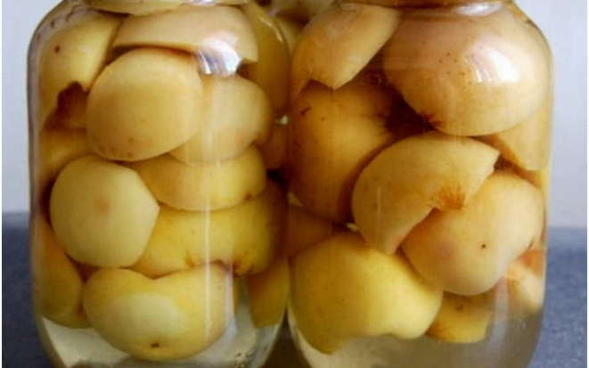 Приготовление консервированных яблок на зиму в мультиварке без сахара