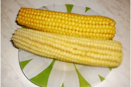 Как сварить вкусную кукуруза в мультиварке Редмонд